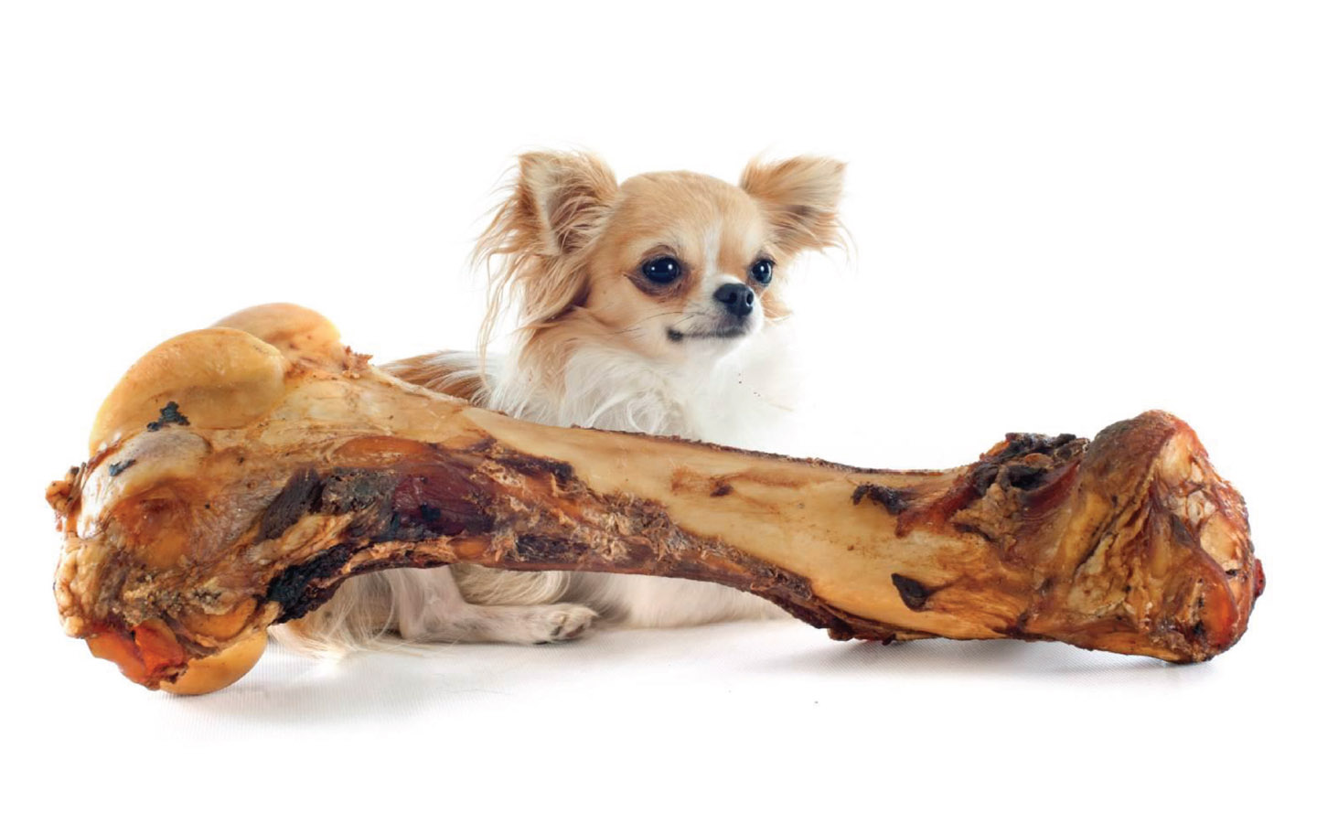 risen-son-financial-post-8837731